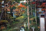 Ryokan Iroha