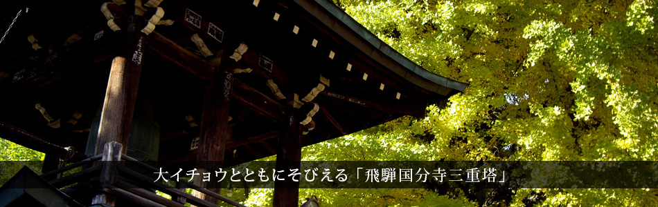 大イチョウとともにそびえる「飛騨国分寺三重塔」