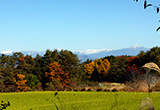 ペンションぐっどらっく高山