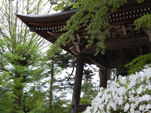 ひだ高山天照寺ユースホステル
