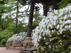 ひだ高山天照寺ユースホステル