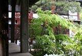 ひだ高山天照寺ユースホステル