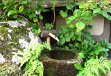 村井屋